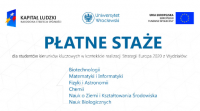 Płatne staże w ramach Akademii Rozwoju